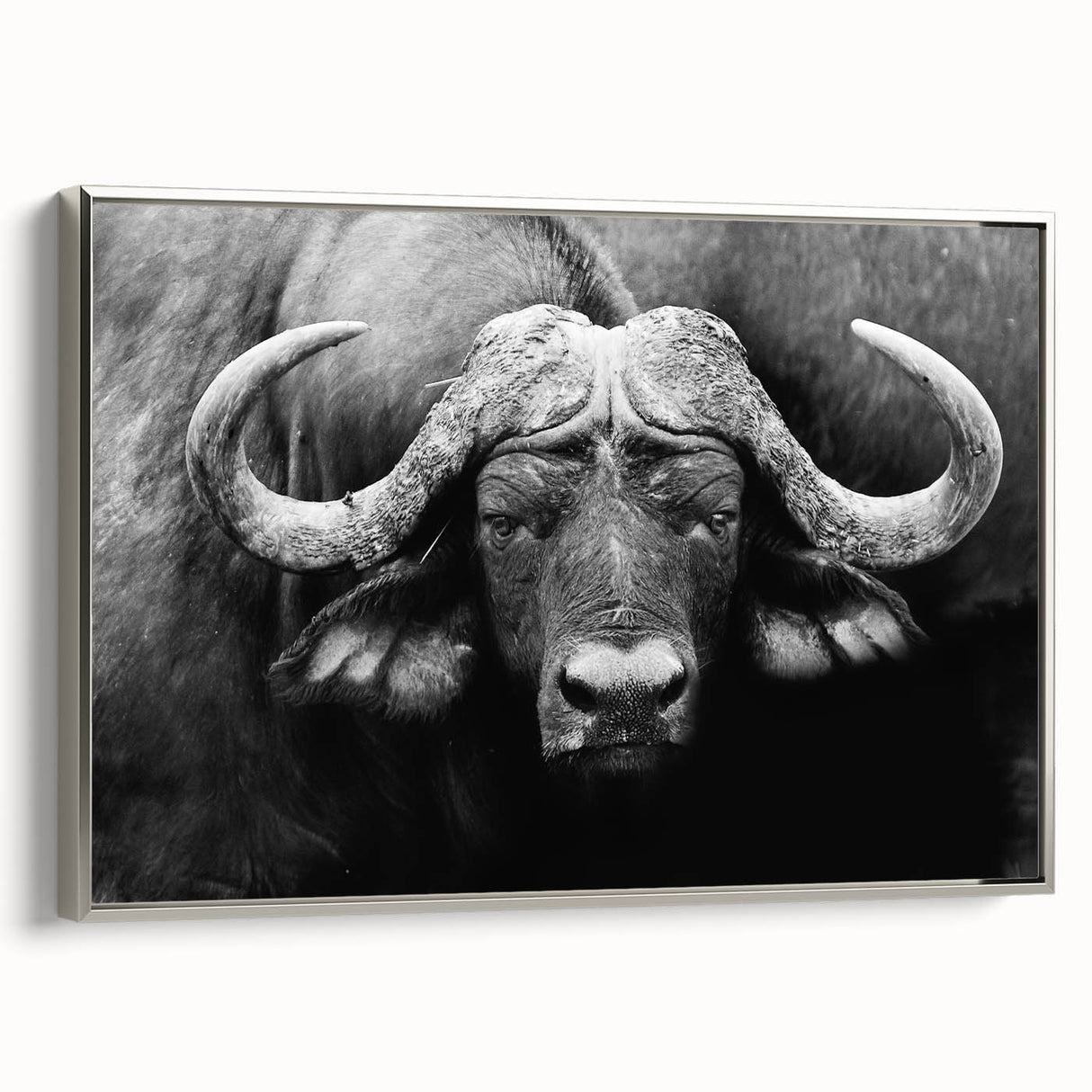 Framed wall art depicting a side view of a majestic buffalo, showcasing intricate details and textures, perfect for wildlife enthusiasts and home decor.