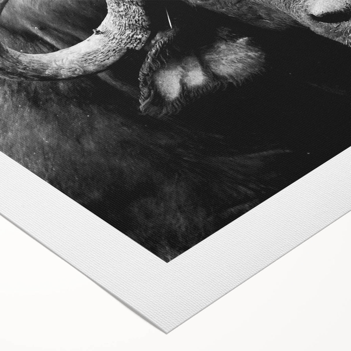 Rolled canvas wall art depicting a striking buffalo design, showcasing vibrant colors and intricate details, perfect for wildlife enthusiasts and home decor.