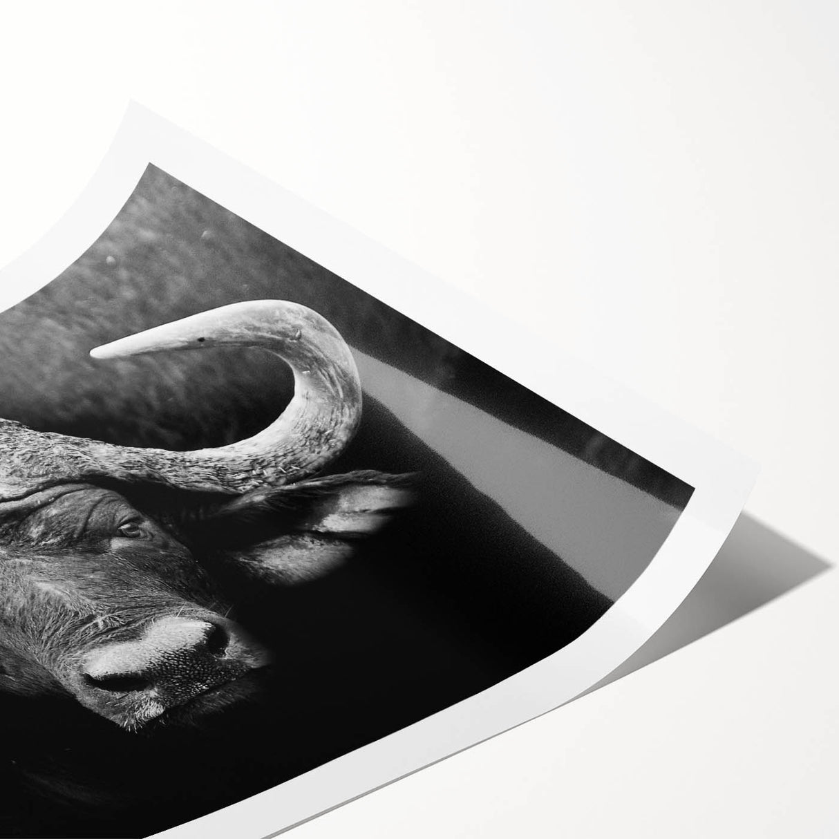 Buffalo wall art design featuring a majestic bison set against a natural landscape, showcasing vibrant colors and intricate details, perfect for wildlife enthusiasts.