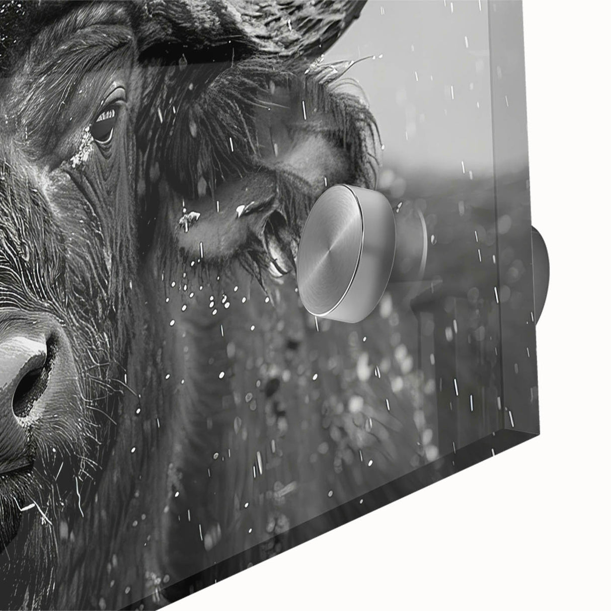 Close-up of a striking acrylic glass wall art piece depicting a majestic buffalo, showcasing intricate details and vibrant colors, ideal for wildlife decor enthusiasts.
