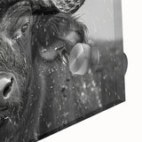 Close-up of a striking acrylic glass wall art piece depicting a majestic buffalo, showcasing intricate details and vibrant colors, ideal for wildlife decor enthusiasts.