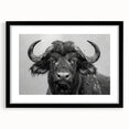 Framed wall art featuring a striking black and white design of a buffalo, showcasing intricate details and textures, perfect for wildlife enthusiasts.
