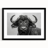 Framed wall art featuring a striking black and white design of a buffalo, showcasing intricate details and textures, perfect for wildlife enthusiasts.