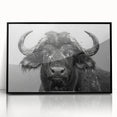 Framed acrylic wall art featuring a striking buffalo design from the 'A Wild Life' collection, showcased in a sleek black frame, perfect for enhancing home decor. The artwork captures the majestic presence of the buffalo, ideal for nature enthusiasts and art lovers alike.