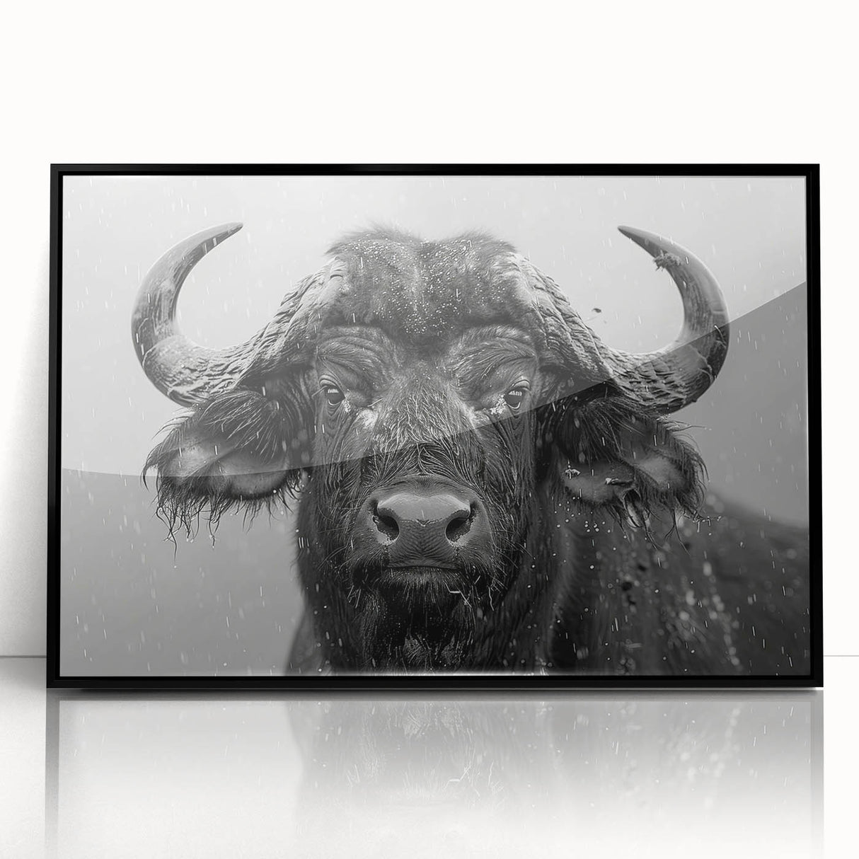 Framed acrylic wall art featuring a striking buffalo design from the 'A Wild Life' collection, showcased in a sleek black frame, perfect for enhancing home decor. The artwork captures the majestic presence of the buffalo, ideal for nature enthusiasts and art lovers alike.