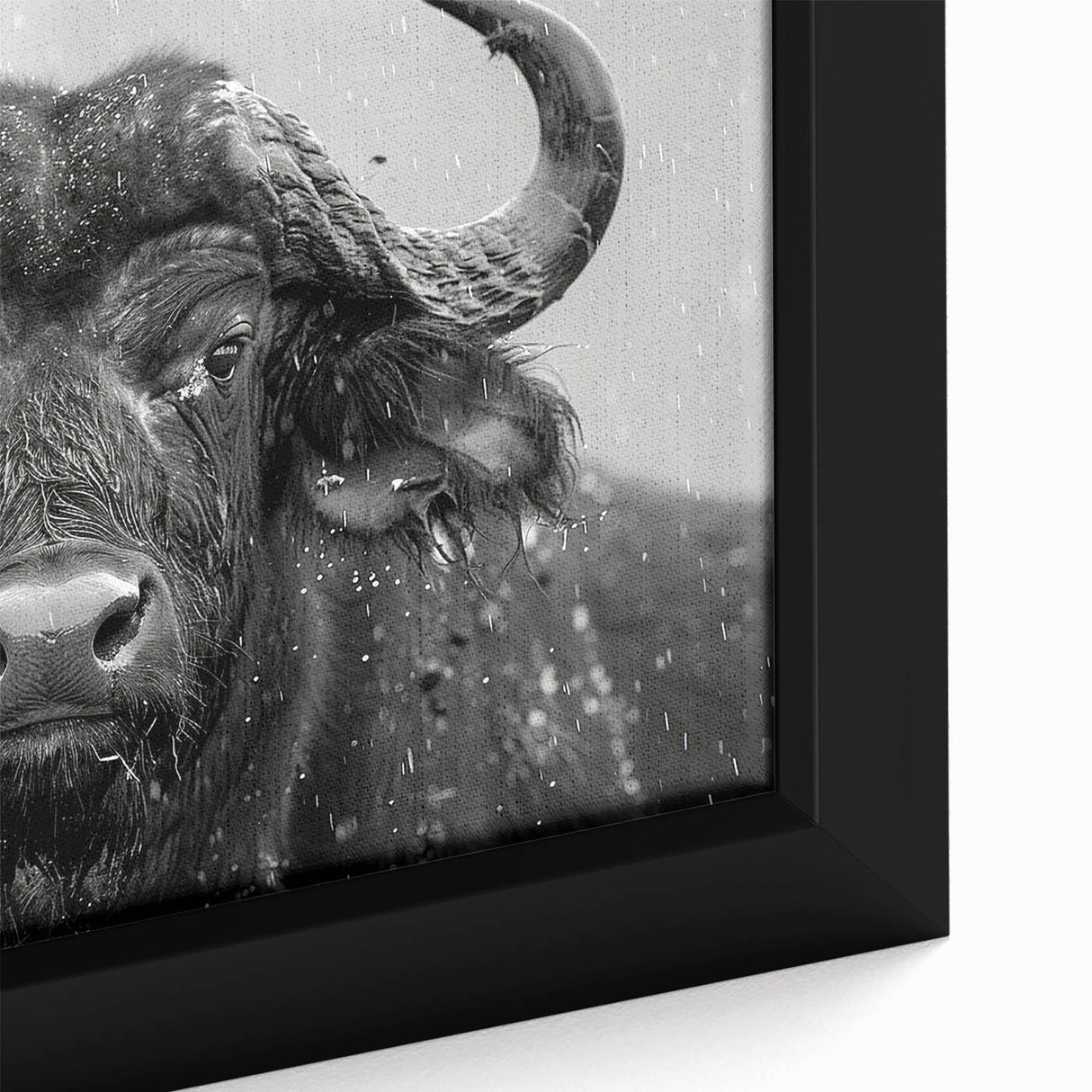 Close-up of a framed canvas artwork showcasing a majestic buffalo in a natural setting, emphasizing the intricate details and textures of its fur against a vibrant backdrop, ideal for wildlife enthusiasts and home decor.