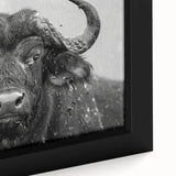 Close-up of a framed canvas artwork showcasing a majestic buffalo in a natural setting, emphasizing the intricate details and textures of its fur against a vibrant backdrop, ideal for wildlife enthusiasts and home decor.
