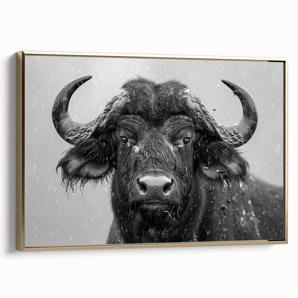 Framed canvas wall art featuring a majestic buffalo in a gold frame, showcasing intricate details and textures, perfect for wildlife enthusiasts and home decor.