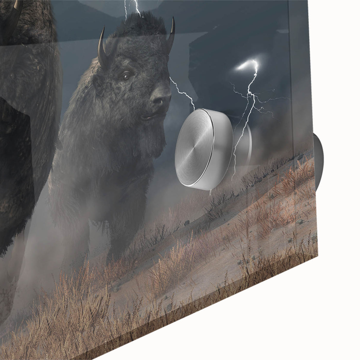 Close-up of a striking buffalo wall art piece featuring intricate bison design, crafted with acrylic glass, showcasing vibrant colors and fine details, ideal for wildlife decor.