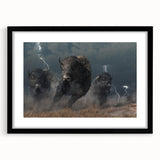 Framed wall art featuring a striking design of a buffalo, showcasing intricate details and a black matte finish, ideal for wildlife enthusiasts and home decor.