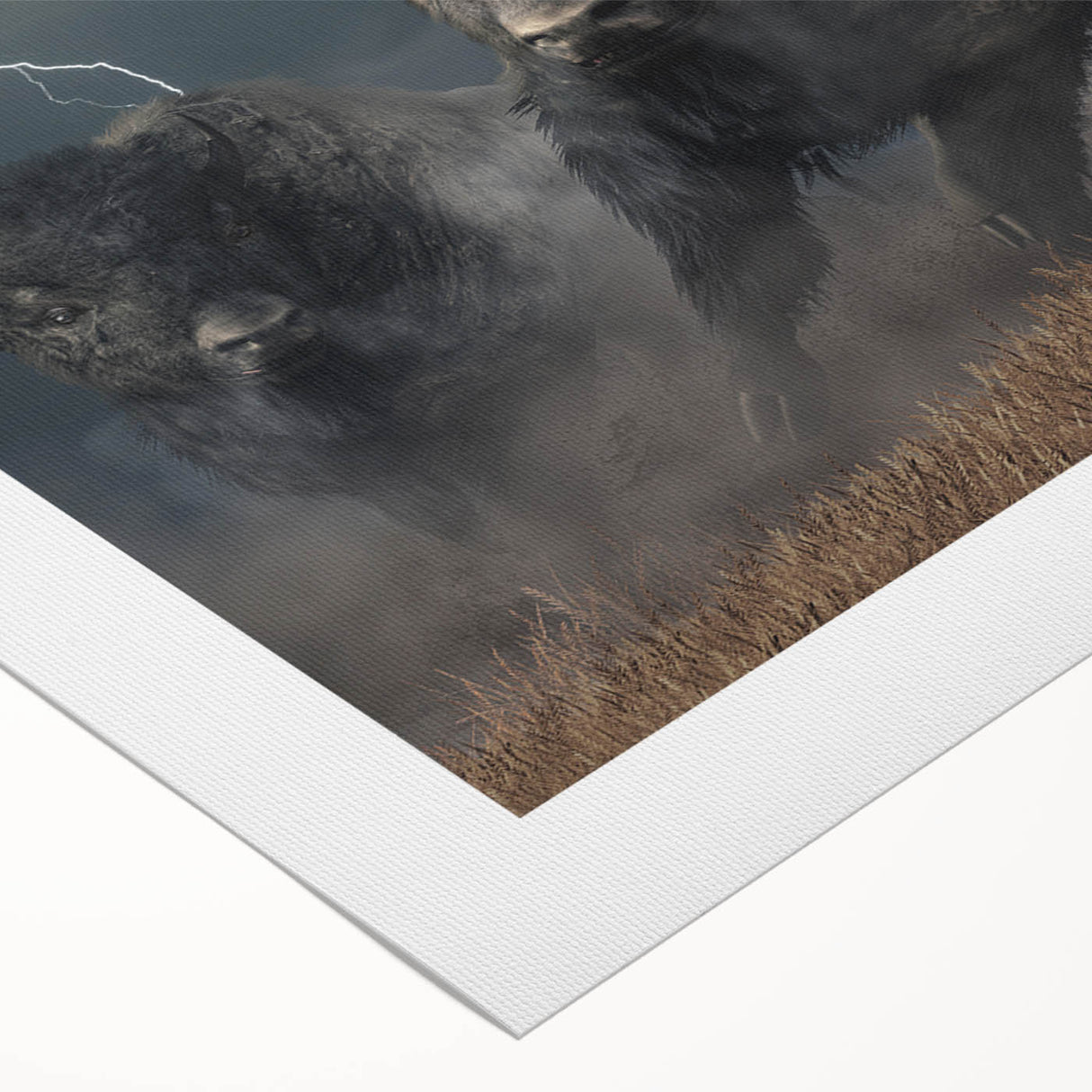 Buffalo wall art print showcasing a bison design on rolled canvas, featuring vibrant colors and intricate details, ideal for wildlife enthusiasts and home decor.