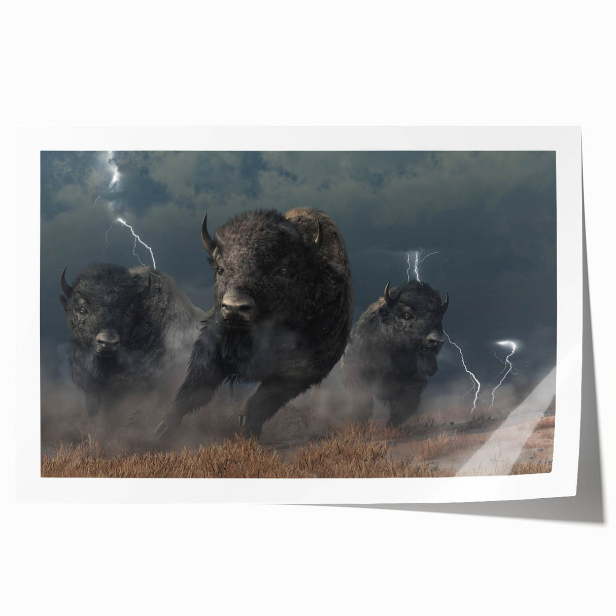 Buffalo wall art print showcasing a detailed design of a bison in a vibrant natural setting, perfect for wildlife enthusiasts and home decor. The rolled print is ideal for framing.