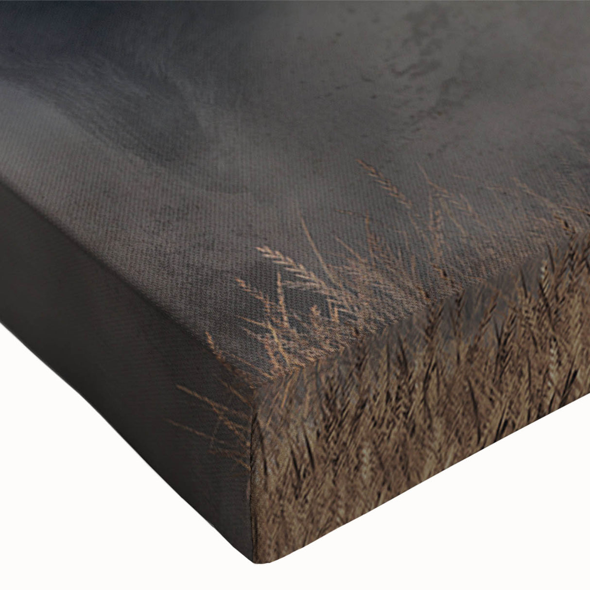 Close-up of a striking bison design on stretched canvas wall art, showcasing rich textures and earthy tones, perfect for wildlife decor enthusiasts.