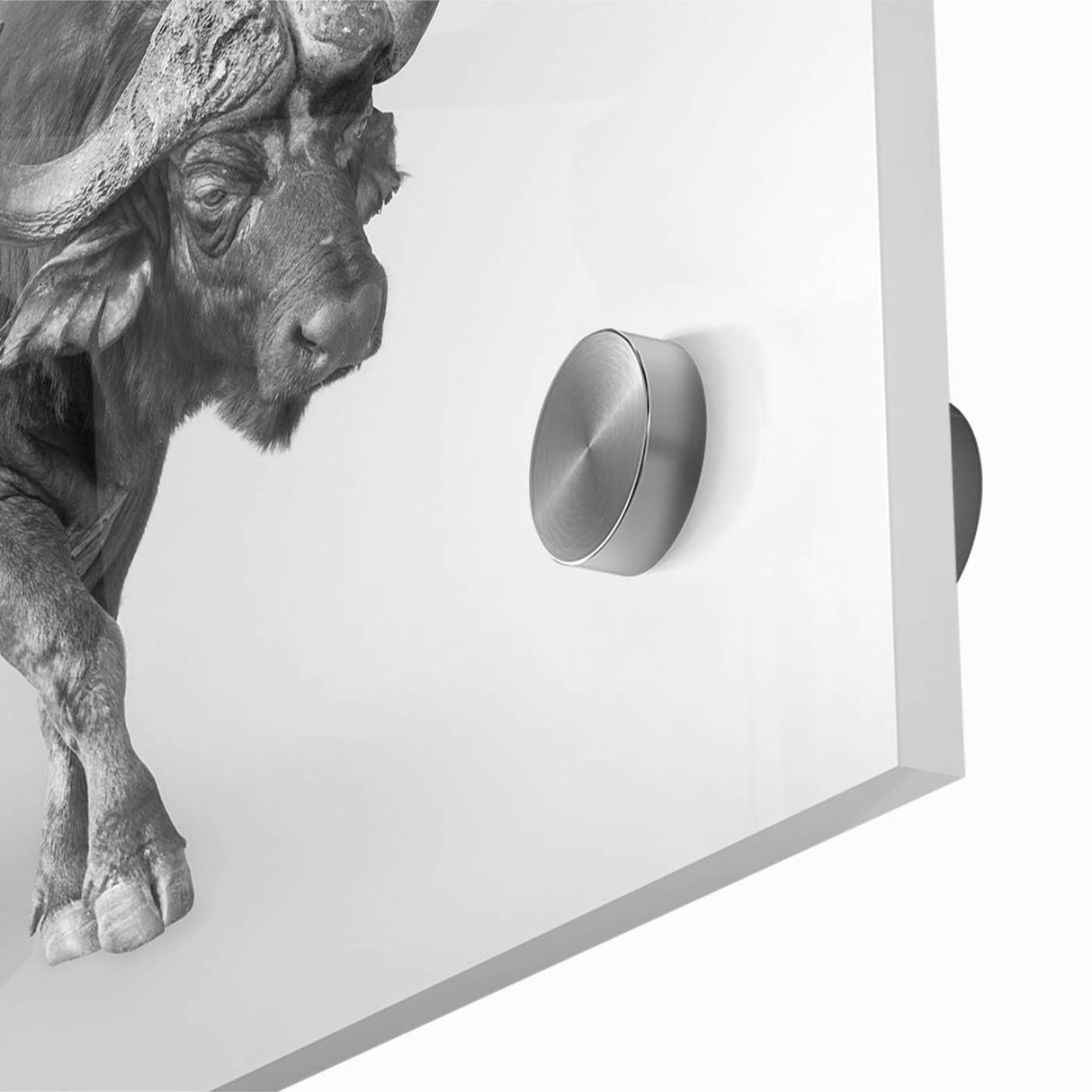 Close-up view of an acrylic glass wall art piece featuring a detailed design of a wild buffalo, showcasing rich textures and vibrant colors, ideal for wildlife enthusiasts.
