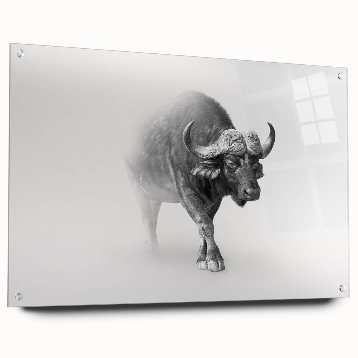 Acrylic glass wall art showcasing a side view of a majestic buffalo, designed with vibrant colors and intricate details, perfect for wildlife enthusiasts and home decor.
