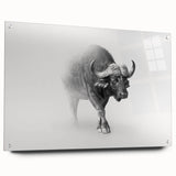 Acrylic glass wall art showcasing a side view of a majestic buffalo, designed with vibrant colors and intricate details, perfect for wildlife enthusiasts and home decor.