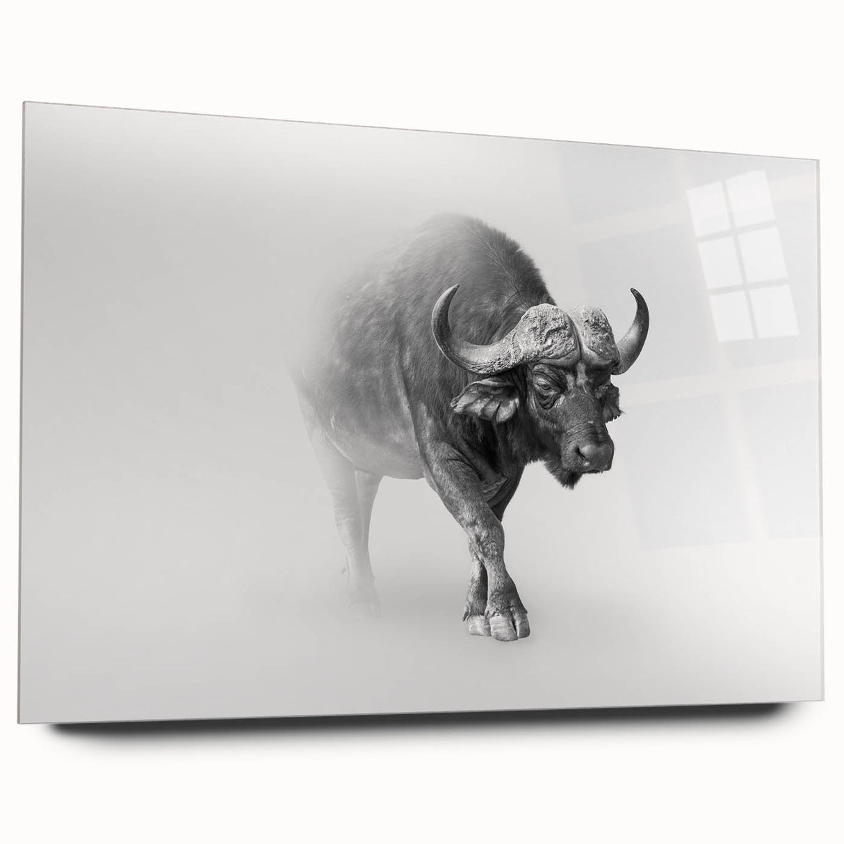 Side view of a buffalo wall art design printed on acrylic glass, showcasing intricate details of the bison in a vibrant, colorful setting, perfect for wildlife decor.