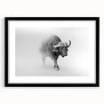 Framed wall art featuring a striking buffalo design from the 'A Bisson Design' collection, showcasing a black frame and mat, ideal for wildlife enthusiasts.
