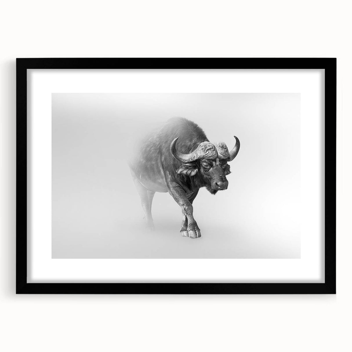 Framed wall art featuring a striking buffalo design from the 'A Bisson Design' collection, showcasing a black frame and mat, ideal for wildlife enthusiasts.