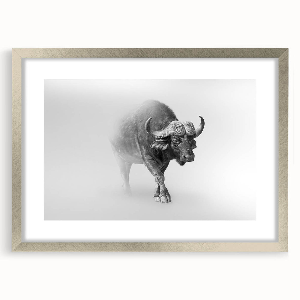 Framed wall art showcasing a detailed illustration of a bison, featuring a sleek silver frame and mat, perfect for wildlife enthusiasts and home decor.