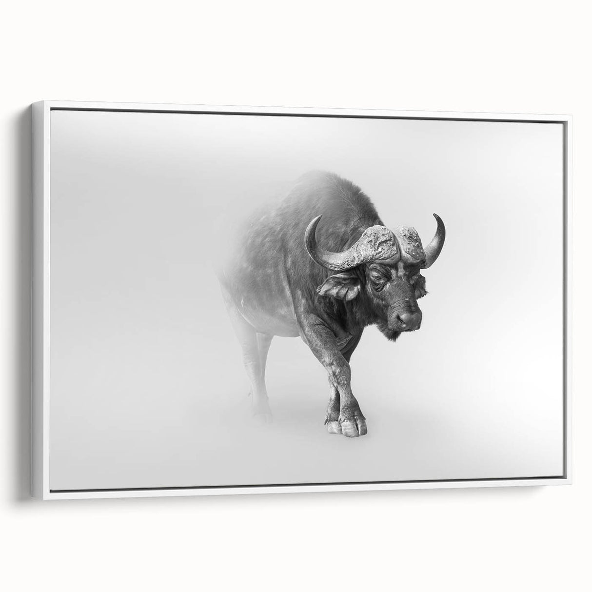 Framed canvas wall art featuring a side view of a majestic buffalo, showcasing intricate details and textures against a white background, ideal for wildlife enthusiasts.