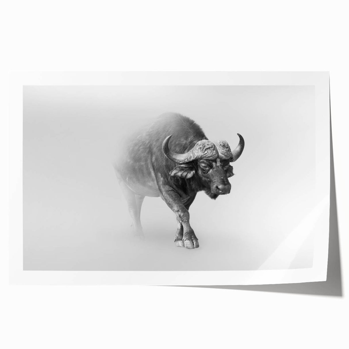 Vibrant rolled wall art print showcasing a majestic buffalo in a stylized, artistic design, perfect for wildlife enthusiasts and home decor, packaged securely for delivery.