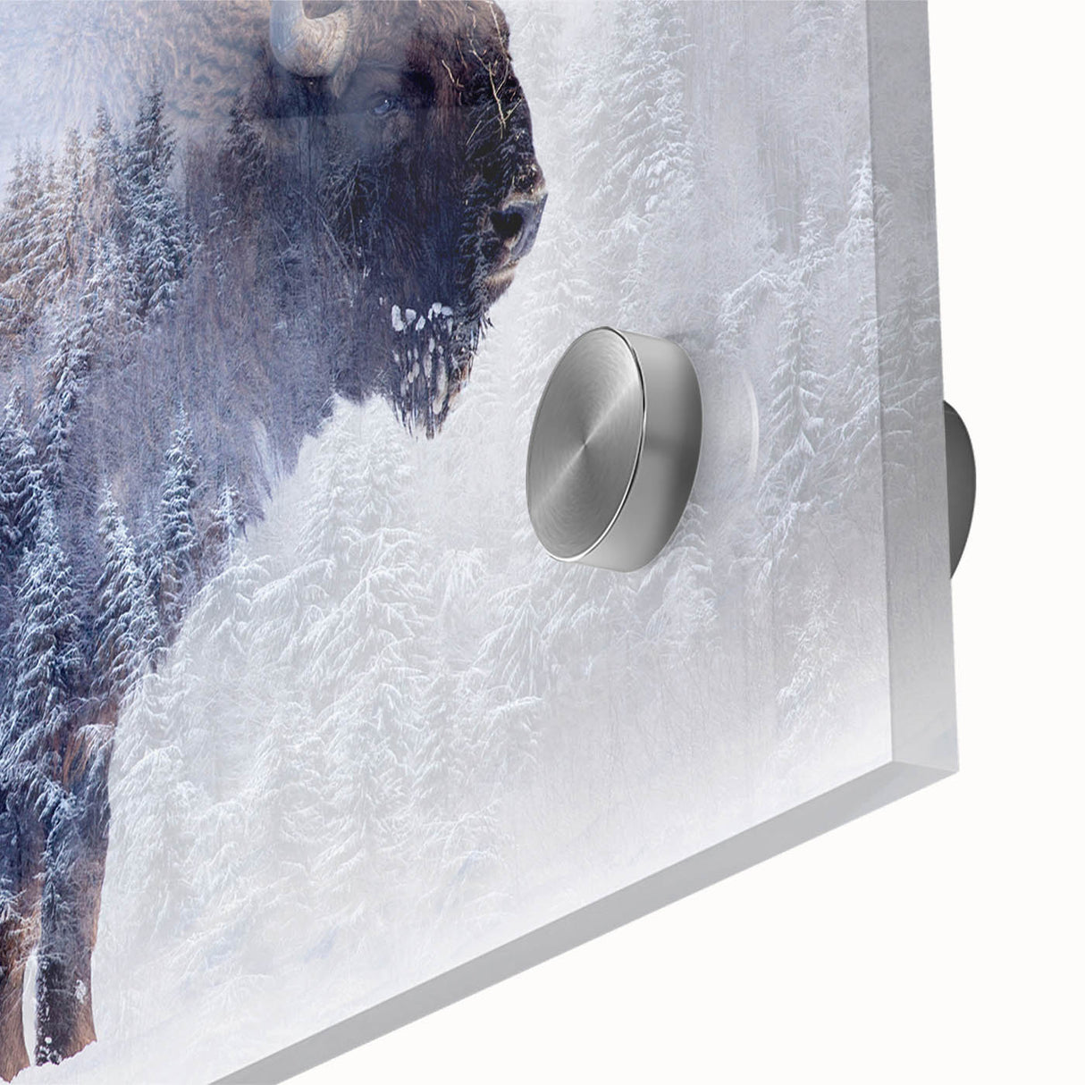 Close-up of a striking buffalo wall art design featuring intricate details and vibrant colors, perfect for wildlife enthusiasts and home decor. The artwork is displayed on acrylic glass, enhancing its visual appeal and depth.