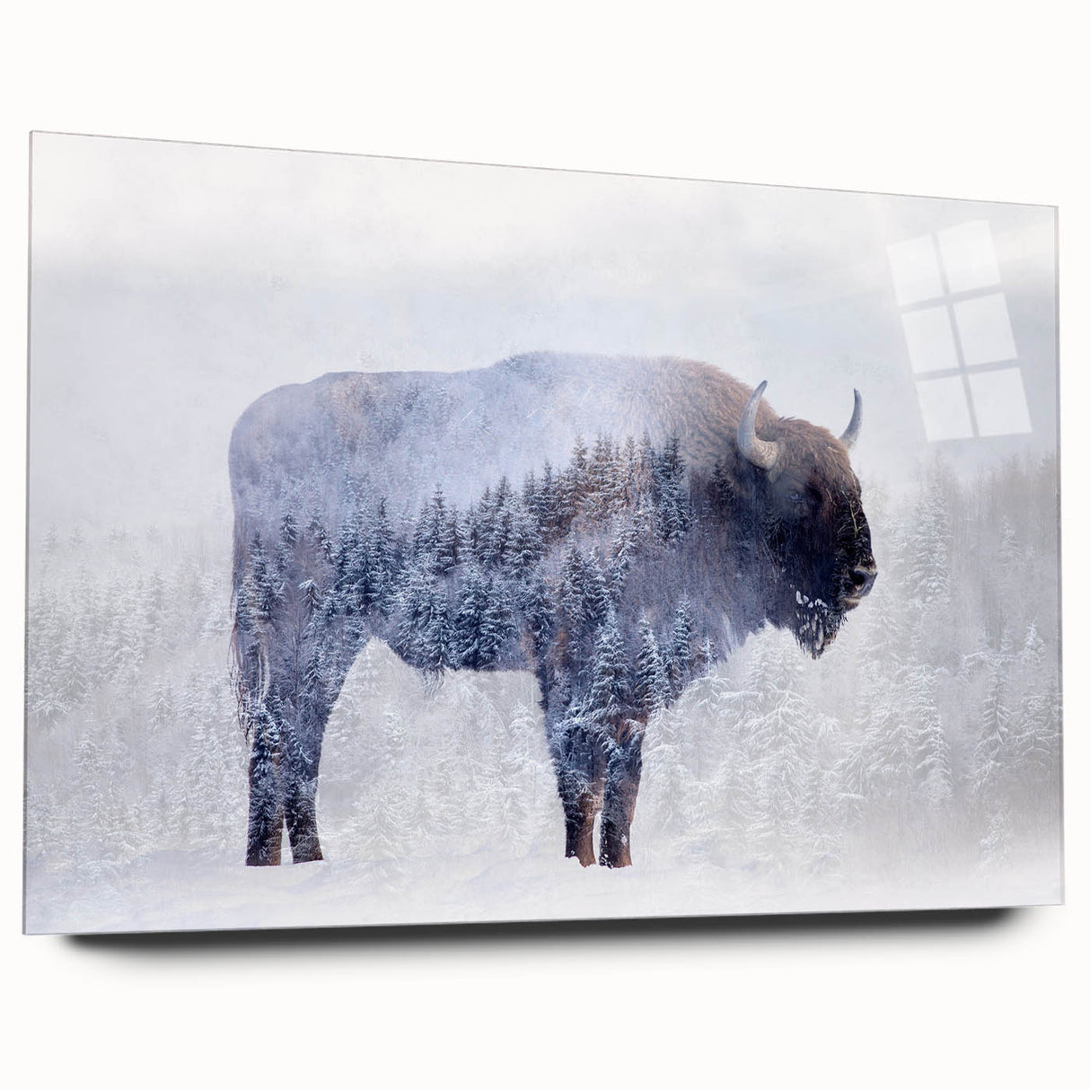 Acrylic glass wall art showcasing a side view of a majestic buffalo, part of the Wild Life collection, featuring intricate details and vibrant colors, perfect for animal lovers.