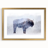 Buffalo wall art featuring a striking bison design, framed in gold with a mat, perfect for enhancing rustic or wildlife-themed decor. This elegant piece showcases intricate details and rich colors, ideal for nature lovers seeking to elevate their interior spaces.