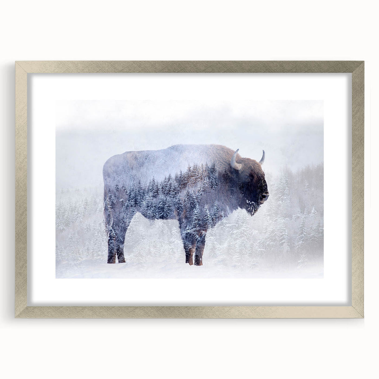 Framed wall art featuring a striking silver mat design showcasing a majestic buffalo, perfect for adding a touch of wildlife elegance to home decor.