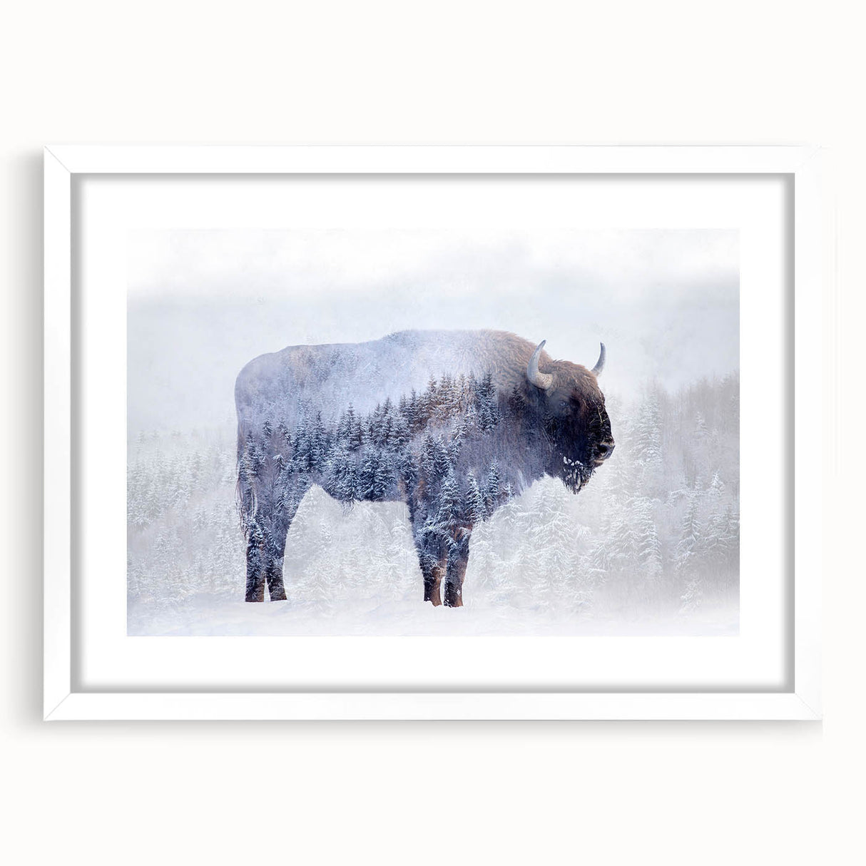 Front view of a framed wall art piece featuring a majestic buffalo design from the A Bisson Collection, showcasing vibrant colors and intricate details, ideal for wildlife enthusiasts.