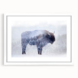 Front view of a framed wall art piece featuring a majestic buffalo design from the A Bisson Collection, showcasing vibrant colors and intricate details, ideal for wildlife enthusiasts.
