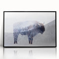 Framed acrylic wall art featuring a striking black buffalo design from the "Animals A Wild Life" collection, ideal for modern home decor.