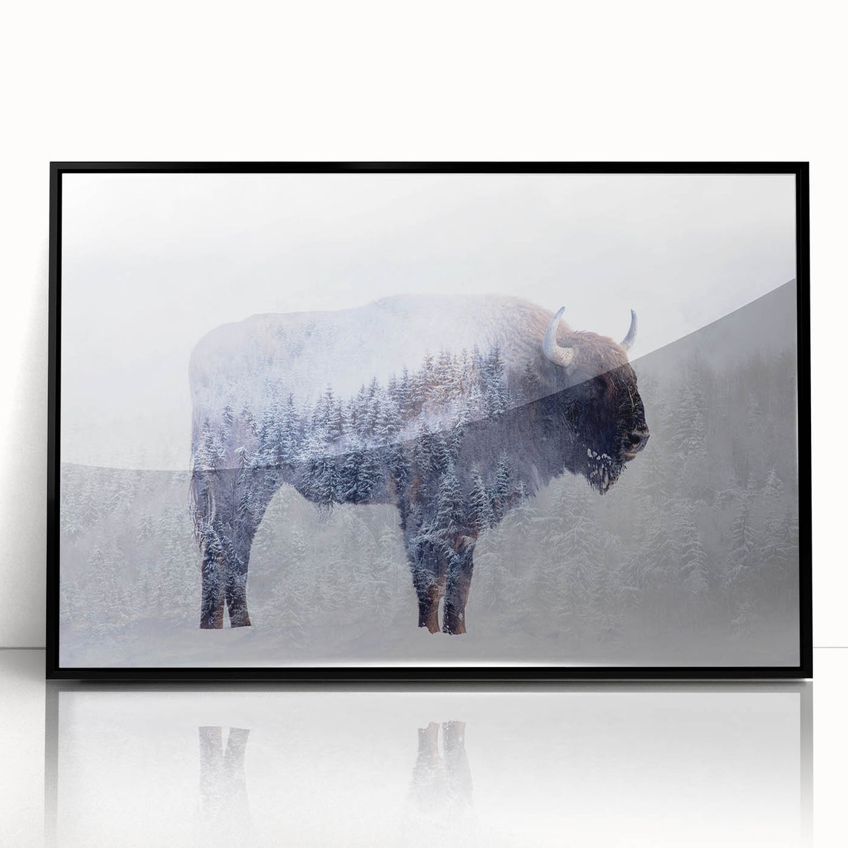 Framed acrylic wall art featuring a striking black buffalo design from the "Animals A Wild Life" collection, ideal for modern home decor.