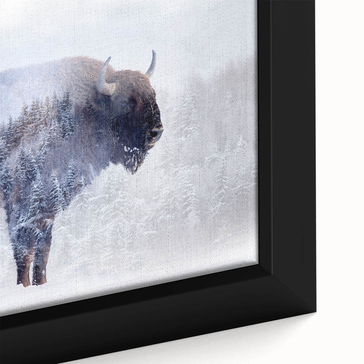 Close-up of a framed canvas wall art featuring a majestic American bison in a natural setting, showcasing intricate details and rich colors that highlight its wild beauty. Ideal for wildlife enthusiasts and home decor.