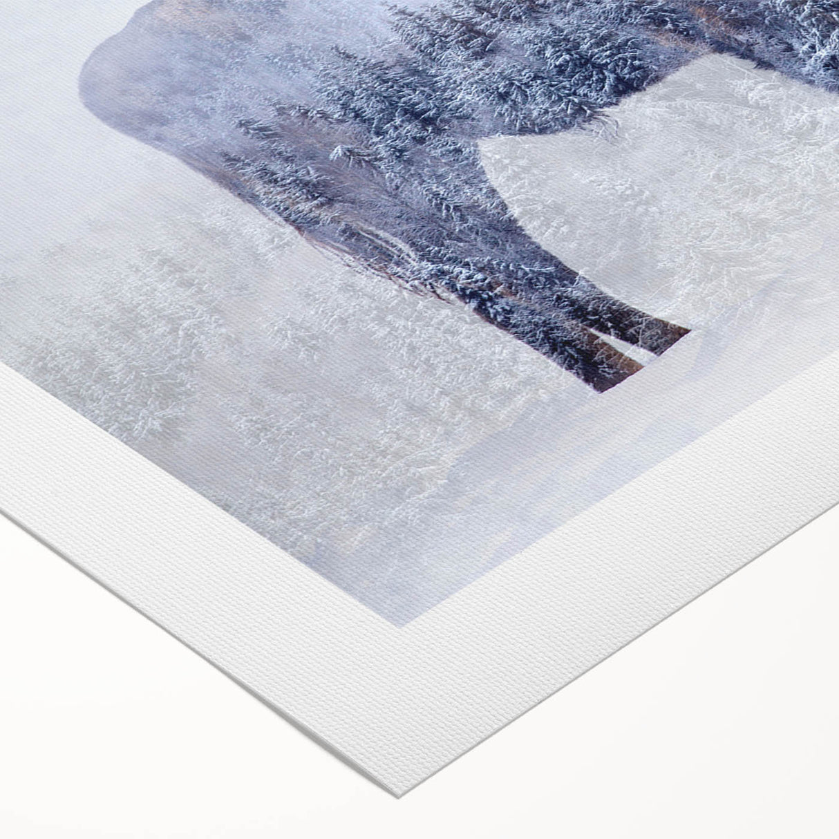 Buffalo wall art design on rolled canvas showcasing a vibrant, textured depiction of a bison in a natural setting, perfect for wildlife enthusiasts and home decor.