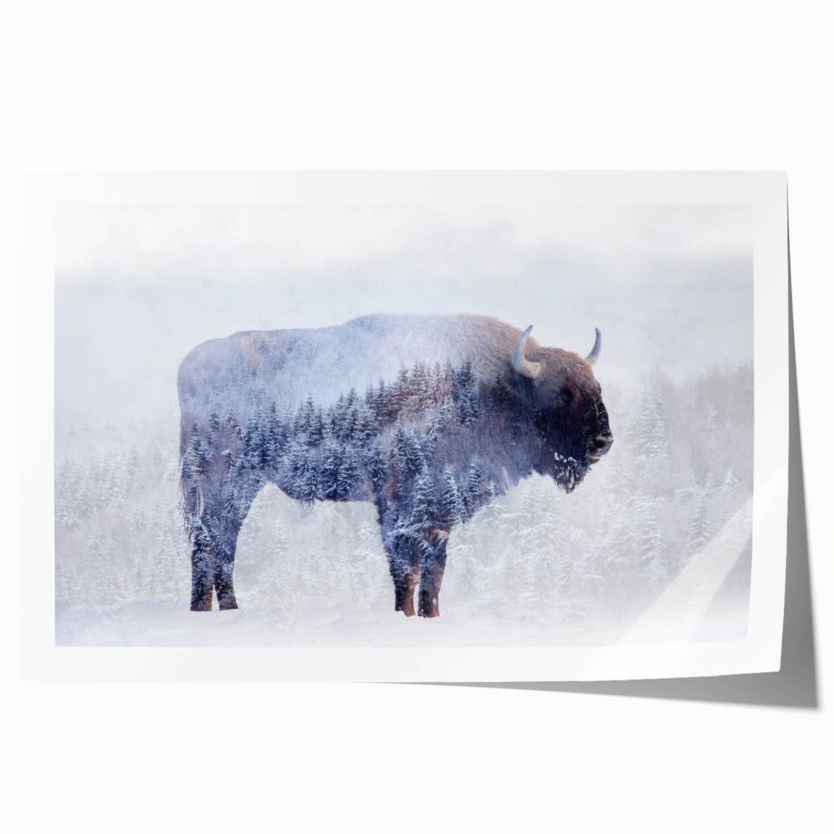 Vibrant wall art print depicting a majestic buffalo in its natural habitat, showcasing intricate details and rich colors, perfect for wildlife enthusiasts and decor lovers.