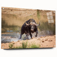 Acrylic glass wall art piece featuring a side view of a bison, showcasing intricate design details and vibrant colors, perfect for wildlife enthusiasts and home decor.