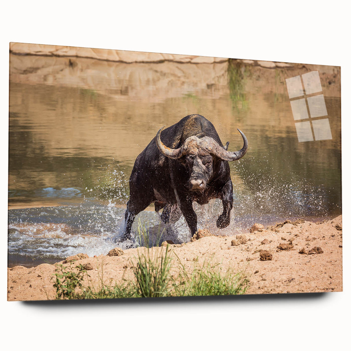 Side view of a striking acrylic wall art piece featuring a bison design, showcasing vibrant colors and intricate details, perfect for wildlife enthusiasts and home decor.