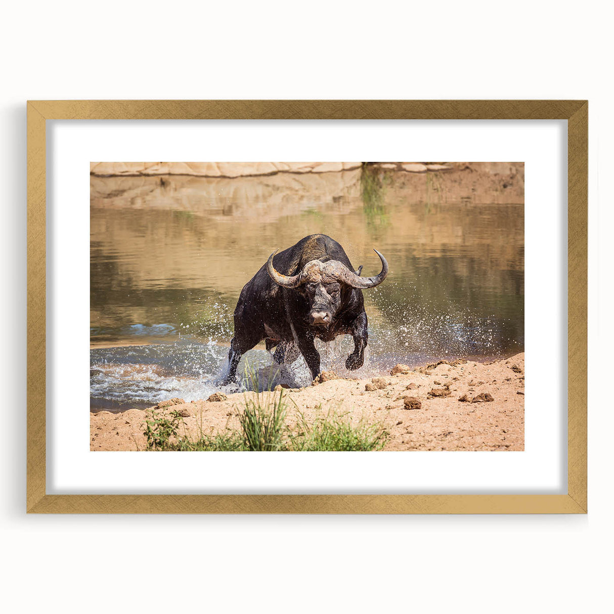Framed wall art showcasing a majestic buffalo design, featuring a gold mat and elegant frame, perfect for enhancing any wildlife-themed decor.