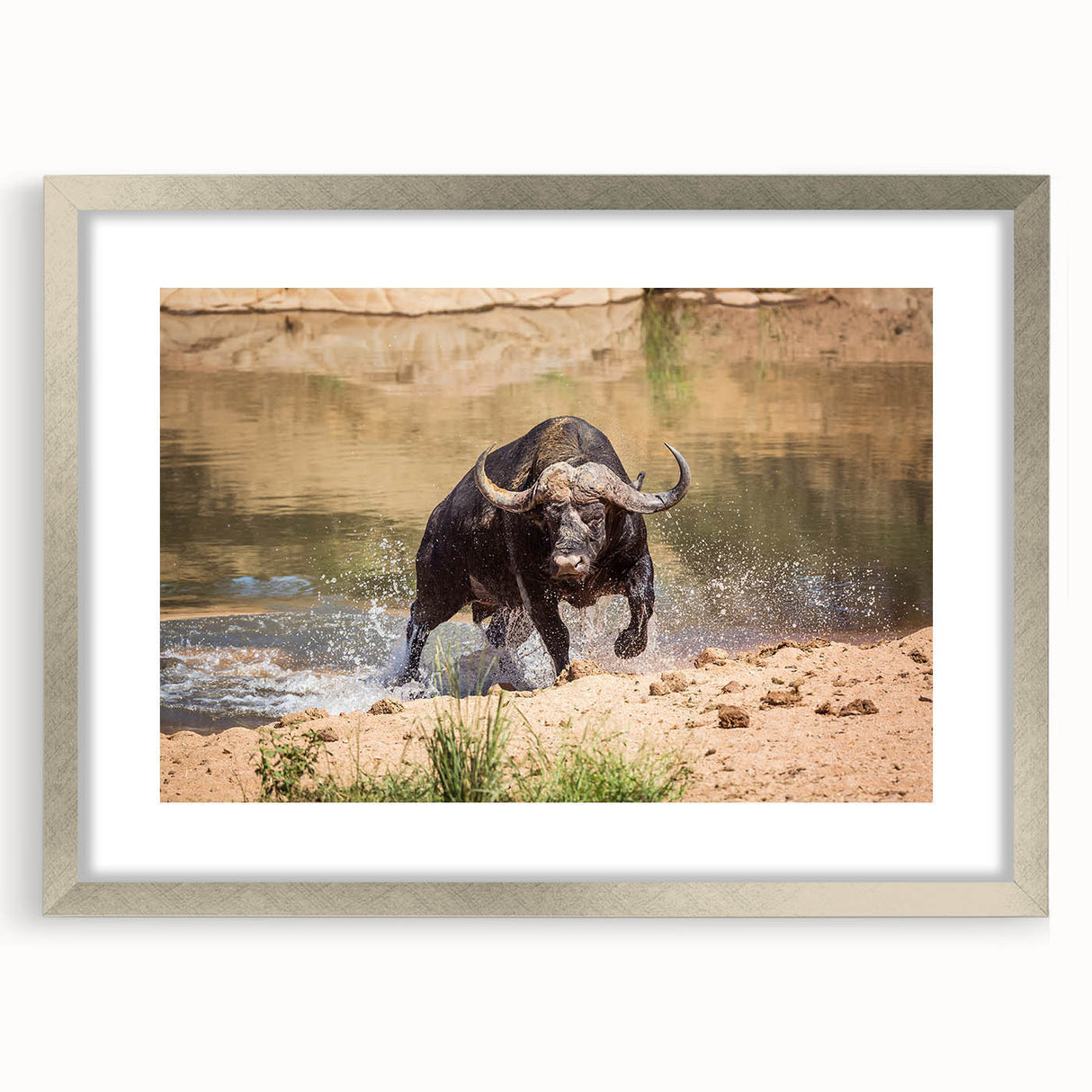 Framed wall art showcasing a majestic buffalo design in a silver frame, featuring a mat for added depth, perfect for wildlife enthusiasts and home decor.