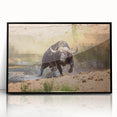 Framed wall art featuring a majestic black buffalo design, showcasing intricate details and vibrant colors, perfect for wildlife enthusiasts and home decor.