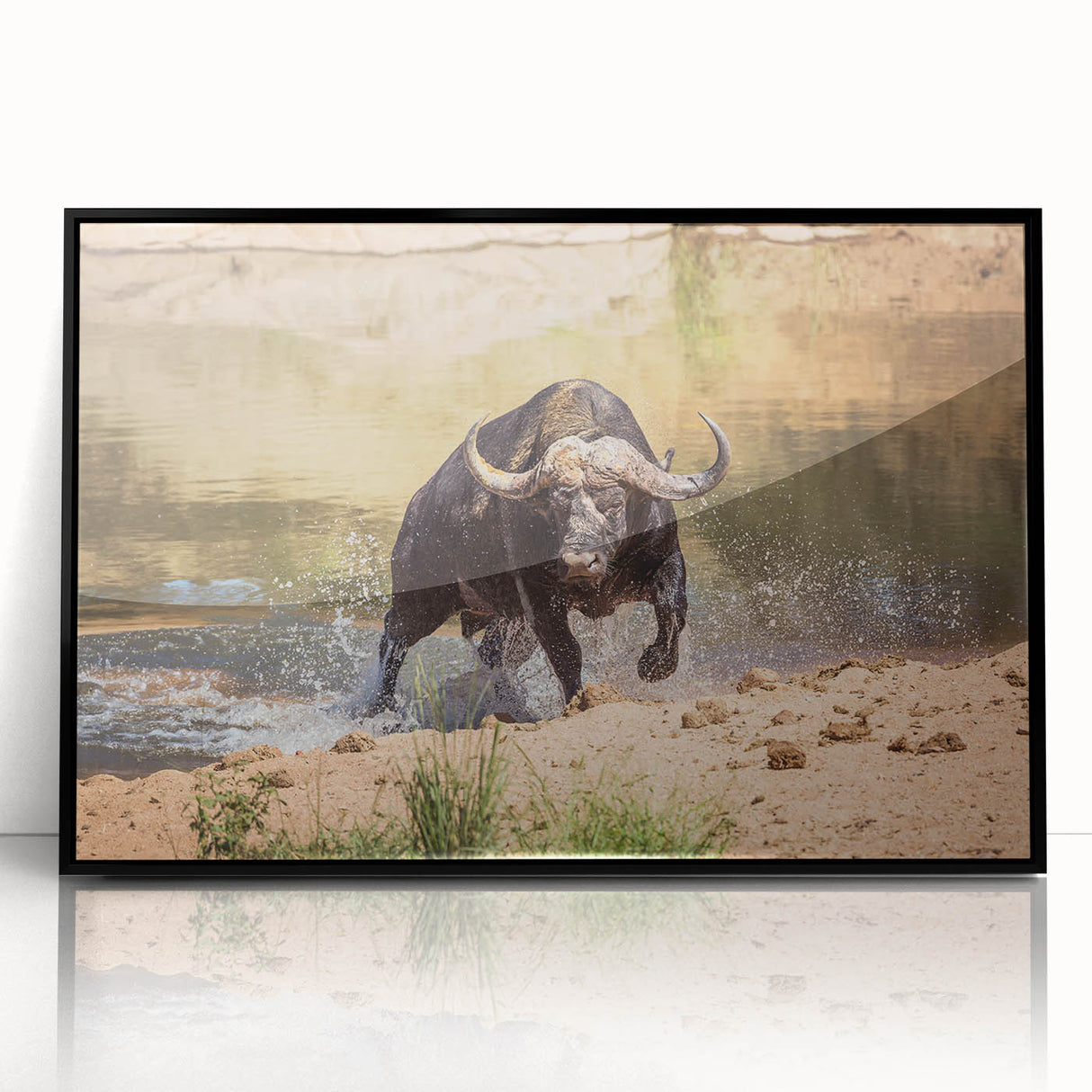Framed wall art featuring a majestic black buffalo design, showcasing intricate details and vibrant colors, perfect for wildlife enthusiasts and home decor.
