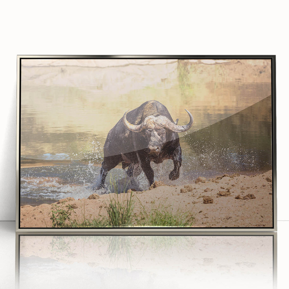 Front view of a framed acrylic wall art piece showcasing a majestic buffalo design, featuring vibrant colors and intricate details, perfect for wildlife enthusiasts.
