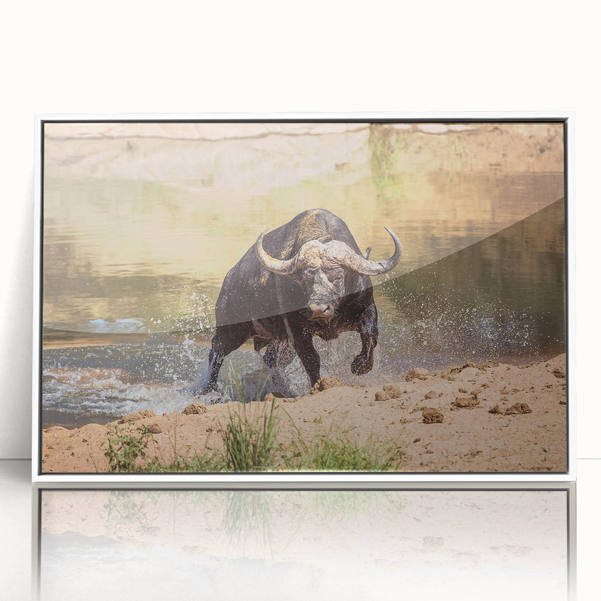 Framed wall art featuring a striking design of a buffalo, showcasing its majestic presence in a natural setting with vibrant colors. Ideal for wildlife enthusiasts looking to enhance their decor.