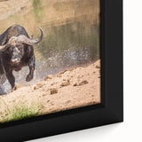 Close-up of a framed canvas wall art featuring a majestic buffalo in a natural setting, showcasing intricate details and vibrant colors, ideal for wildlife enthusiasts.