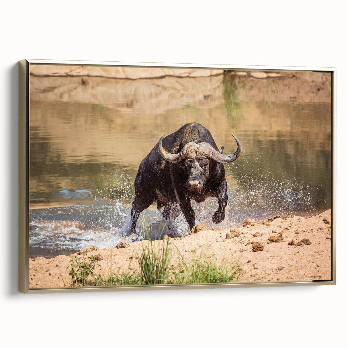 Framed wall art featuring a majestic bison in a gold-accented design, showcasing intricate details and textures, perfect for wildlife enthusiasts and decor lovers.