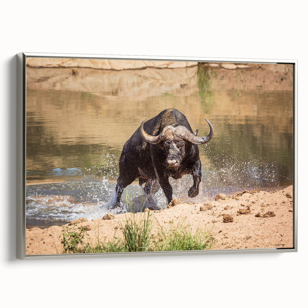 Framed canvas wall art showcasing a majestic silver side view of a bison, part of the Wild Life collection, perfect for nature-themed home décor.
