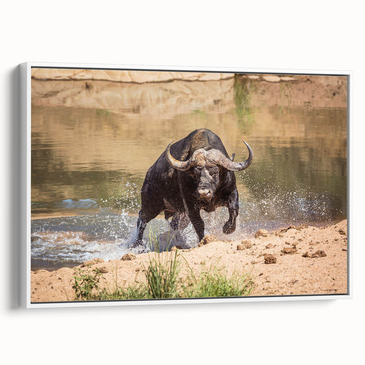 Framed canvas wall art showcasing a majestic buffalo in profile, featuring natural earthy tones and intricate details, perfect for wildlife enthusiasts and home decor.