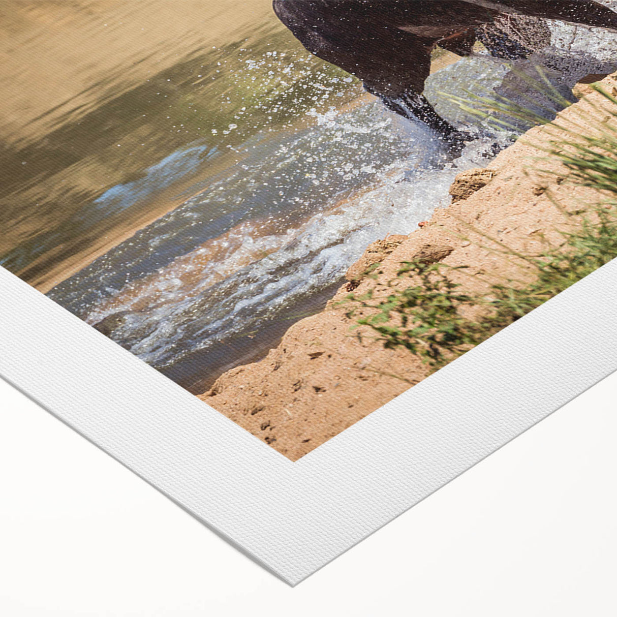 Buffalo wall art design showcasing a majestic bison in a natural setting, printed on high-quality rolled canvas, ideal for home decor enthusiasts and wildlife lovers.